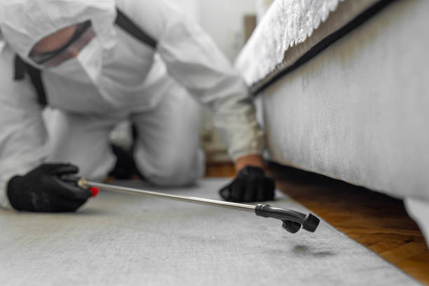 Professional Mosquito Control technician working in Boron, CA