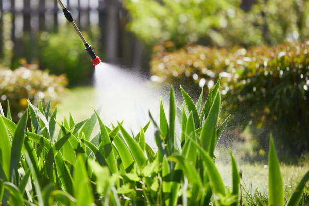 24/7 Emergency Mosquito Control experts in Boron, CA