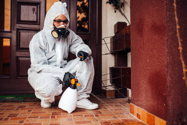 Reliable Mosquito Control contractor in Boron, CA by Nex Pest Control